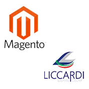 WMS e Spedizioni per Magento 2 e Liccardi